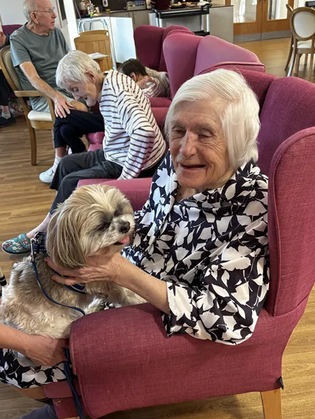 coverage care life in care homes3