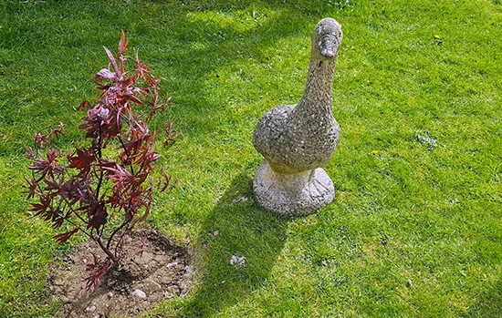 nancy-frost-story-coverage-care